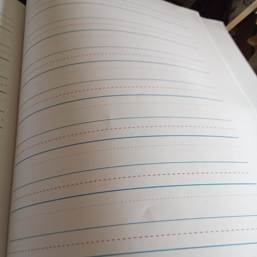 Grade 1 Learning System - Multicolor - Picture 8 of 13